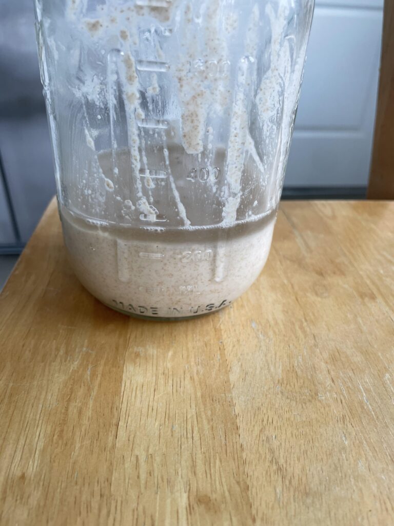 Liquid on Top of Sourdough Starter