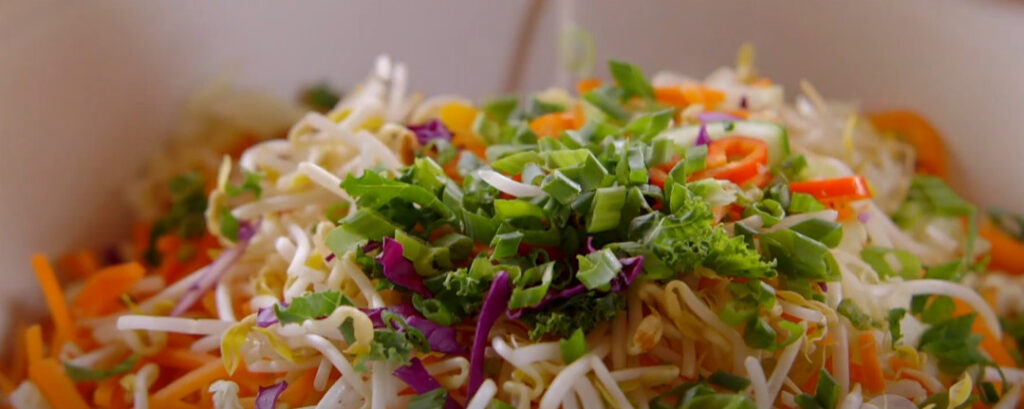 Pioneer Woman Ramen Noodle Salad Recipe